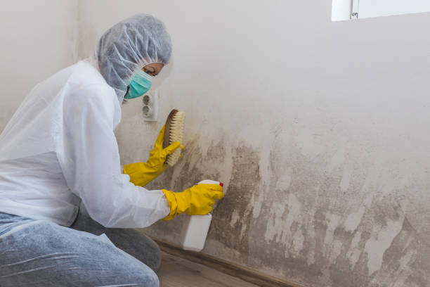 Water Damage Restoration in Pearl River, NY