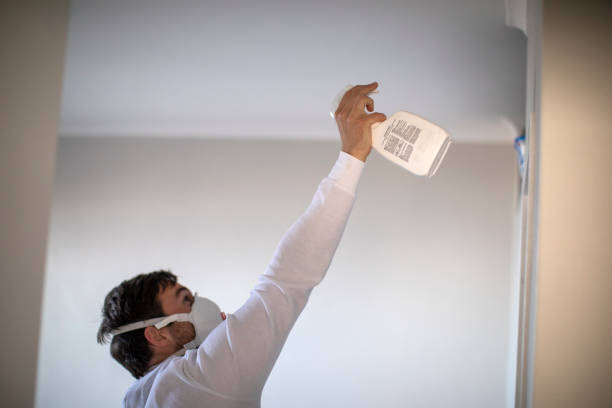 Best Mold Testing  in Pearl River, NY