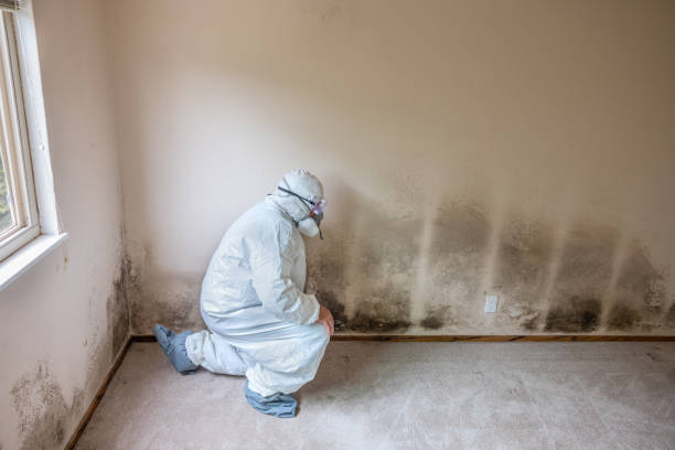 Best Crawl Space Mold Removal  in Pearl River, NY